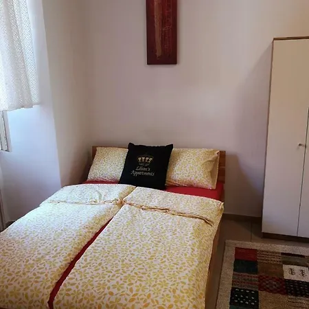 Lilian Center Apartamento Graz